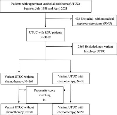 Impact of Adjuvant Chemotherapy on Variant Histology of Upper Tract Urothelial Carcinoma: A Propensity Score-Matched Cohort Analysis